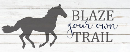 Picture of BLAZE YOUR OWN TRAIL