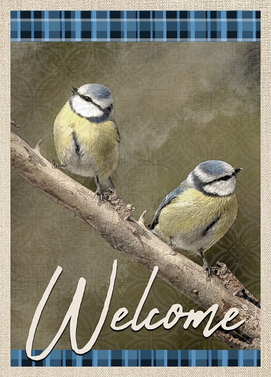 Picture of WELCOME BLUE BIRDS