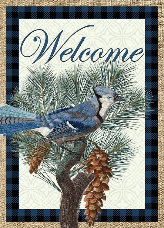 Picture of BLUE JAY WELCOME