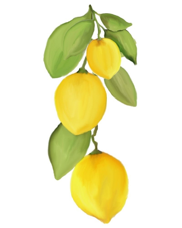 Picture of FRESH LEMONS 4