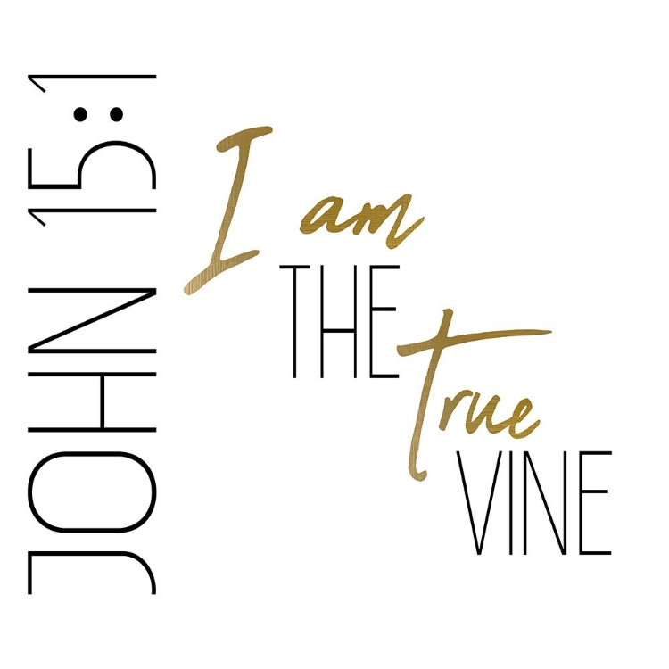 Picture of I AM THE TRUE VINE SQUARE