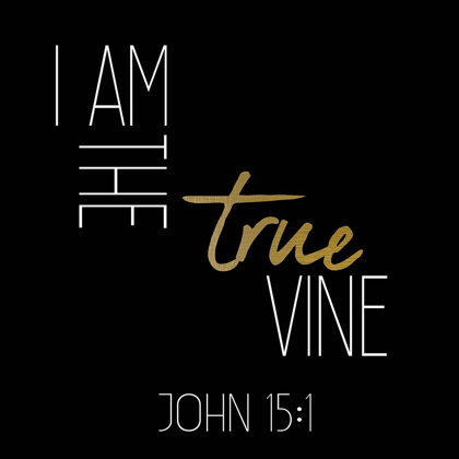 Picture of I AM THE TRUE VINE BLACK SQUARE