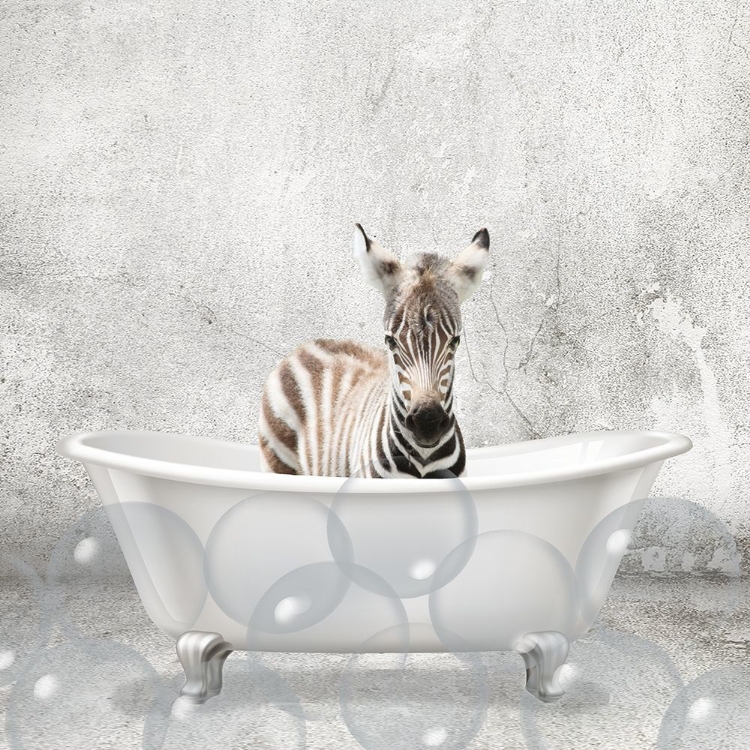 Picture of BABY ZEBRA BATH