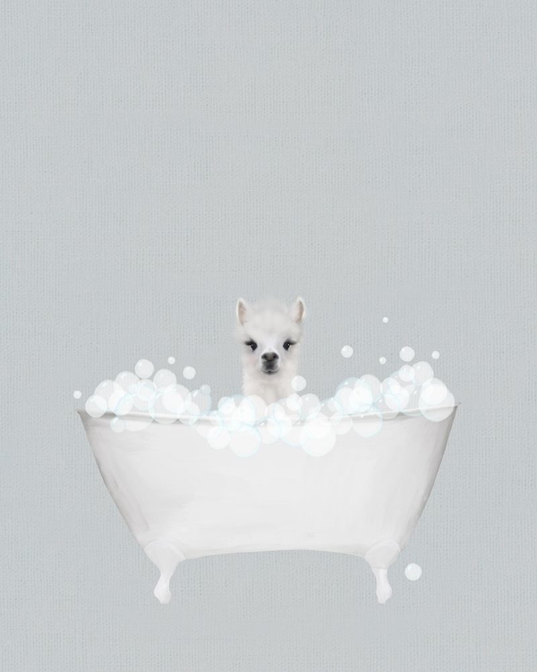 Picture of ALPACA BLUE BATH