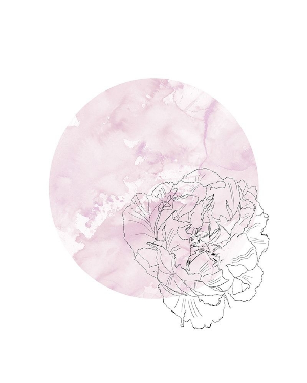 Picture of ABSTRACT PEONY ILLUSTRATION