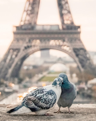 Picture of LOVE BIRDS IN PARIS