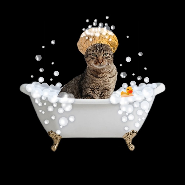 Picture of FUN KITTY BATH 4