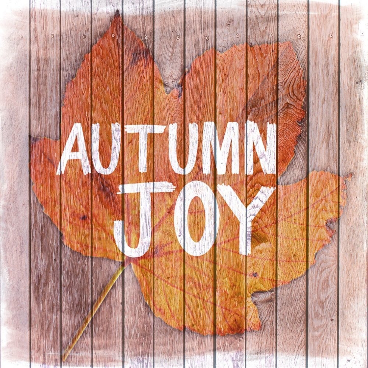 Picture of AUTUMN JOY 1