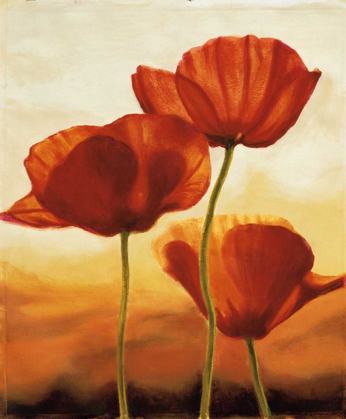Picture of POPPIES IN SUNLIGHT I