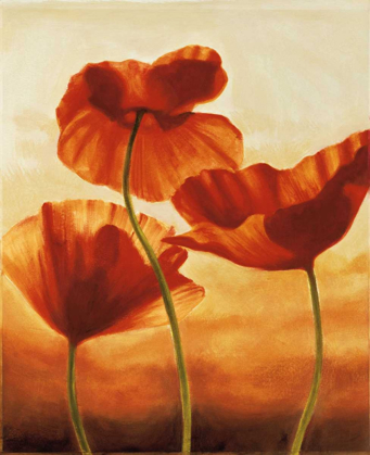 Picture of POPPIES IN SUNLIGHT II