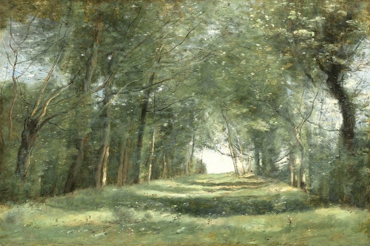 Picture of SHADED PATH III