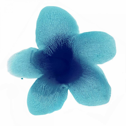 Picture of BLUE BLOOM II