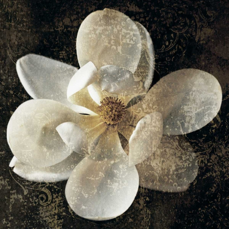 Picture of MAGNOLIA I