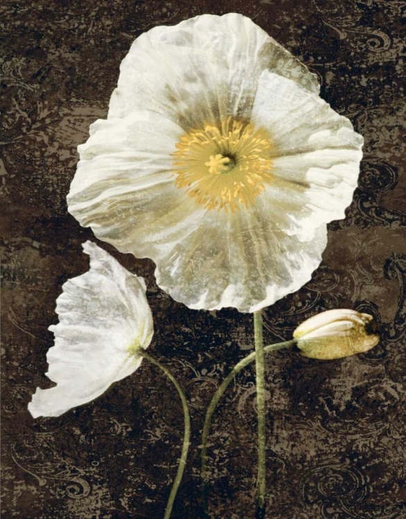 Picture of POPPIES II