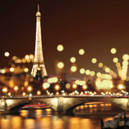 Picture of CITY LIGHTS-PARIS