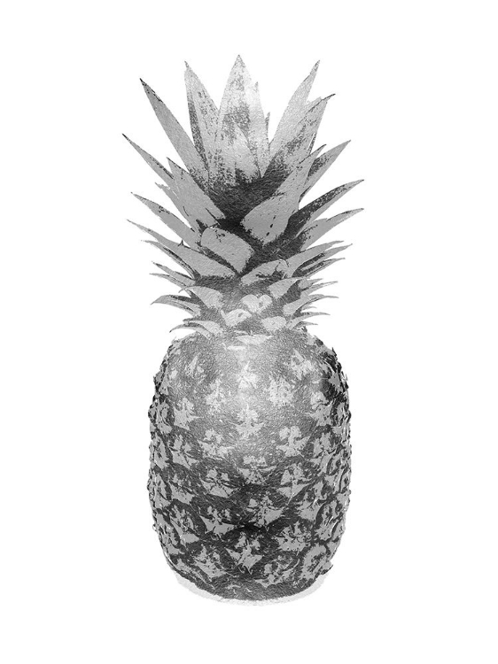 Picture of PINEAPPLE GRAY II