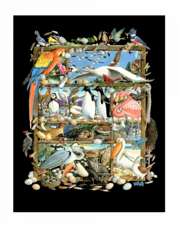 Picture of SHADOWBOX HUNT -BIRDS OF A FEA