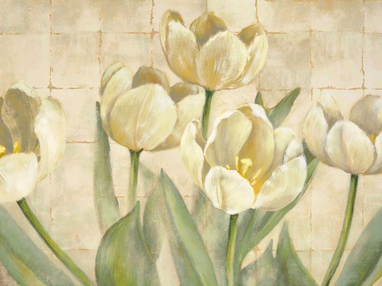 Picture of WHITE TULIPS ON IVORY