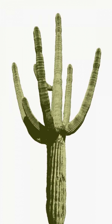 Picture of SAGUARO I