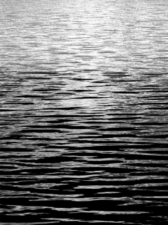 Picture of OCEAN CURRENT BW II