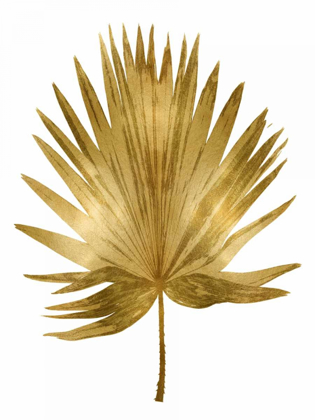 Picture of GOLD PALM IV