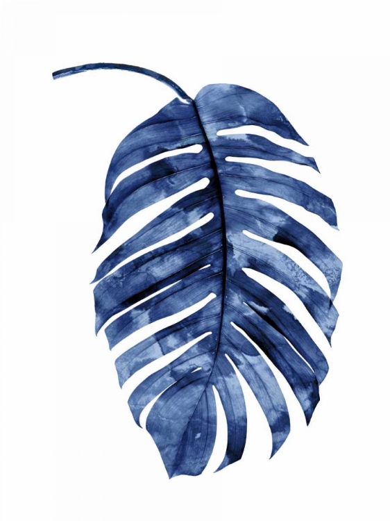 Picture of INDIGO PALM II