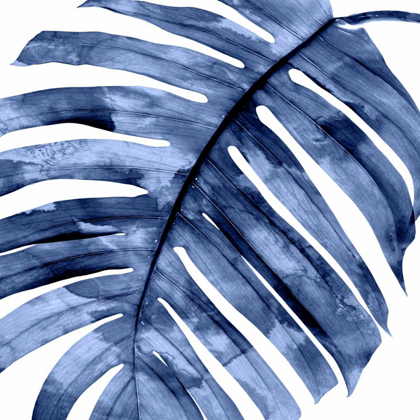 Picture of TROPICAL INDIGO PALM II