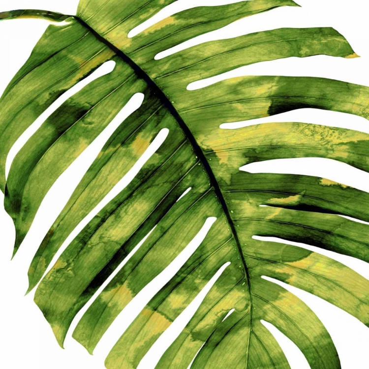 Picture of TROPICAL PALM II