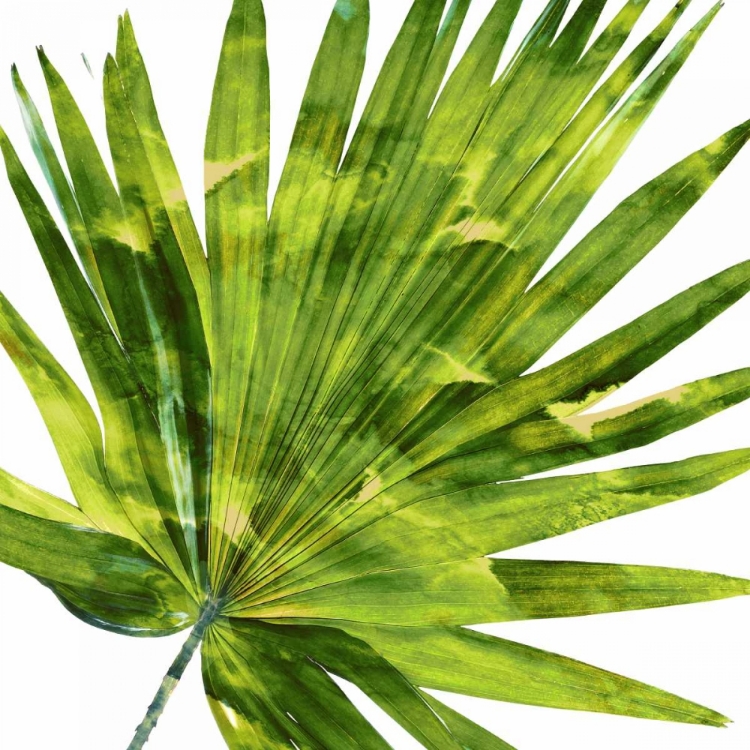 Picture of TROPICAL PALM IV