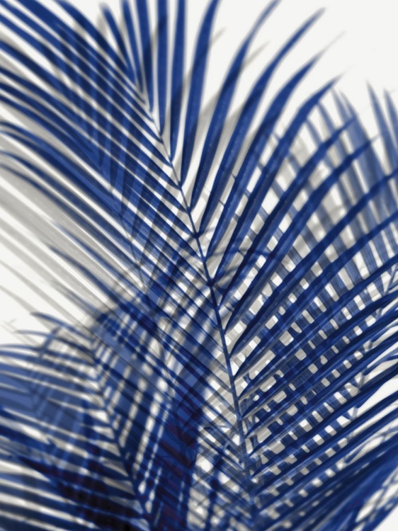 Picture of PALM SHADOWS BLUE I