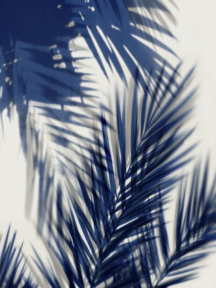 Picture of PALM SHADOWS BLUE II