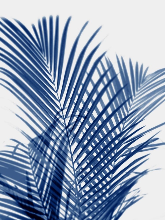 Picture of PALM SHADOWS INDIGO I