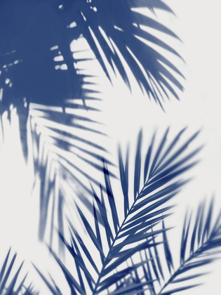 Picture of PALM SHADOWS INDIGO II