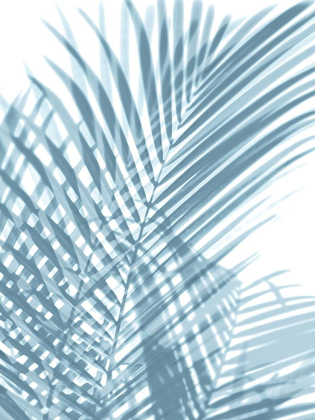 Picture of PALM SHADOWS AQUA I