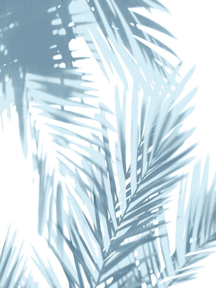 Picture of PALM SHADOWS AQUA II