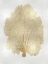 Picture of SEA FAN GOLD II