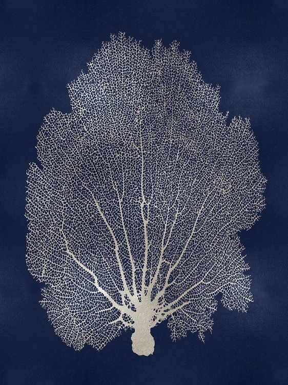 Picture of SEA FAN SILVER ON BLUE II