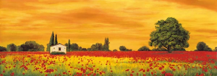 Picture of FIELD OF POPPIES