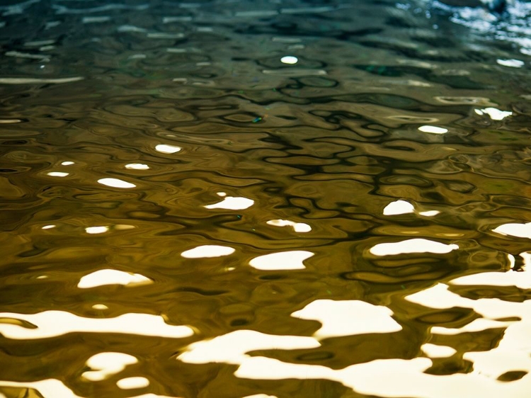 Picture of WATER REFLECTIONS