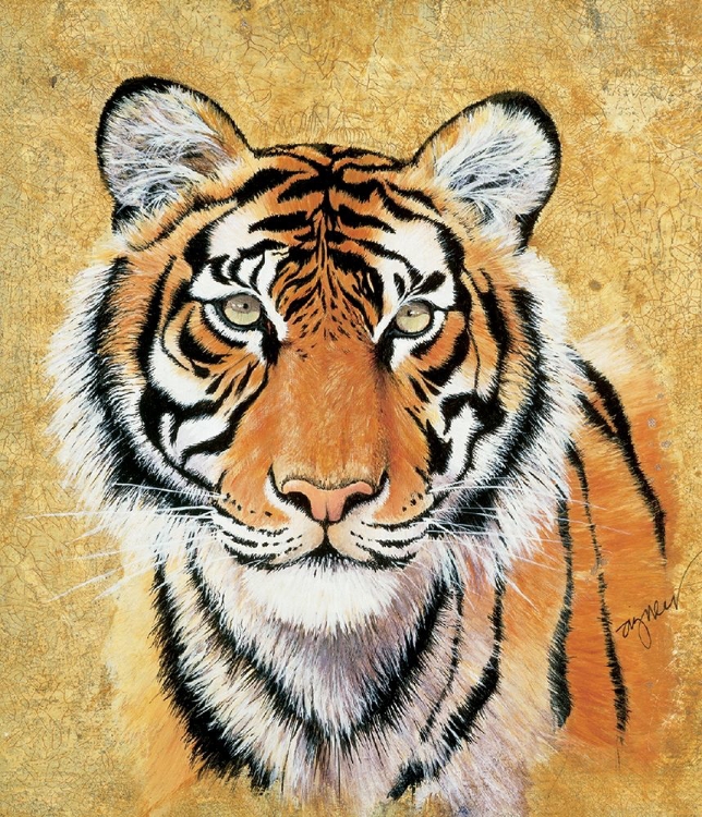 Picture of TIGER