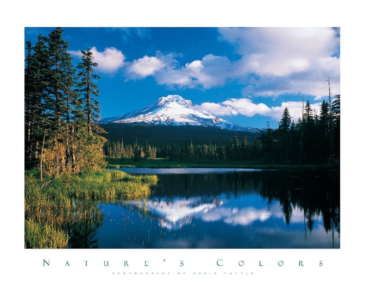 Picture of REFLECTIONS MOUNTAIN IN LAKE