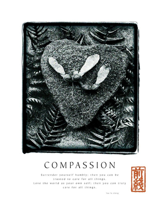 Picture of COMPASSION - FERNS