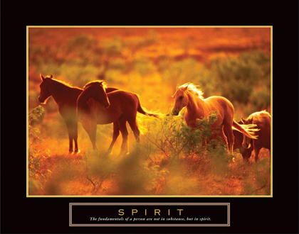Picture of SPIRIT - HORSES