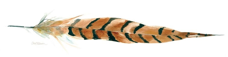 Picture of TAIL FEATHER I