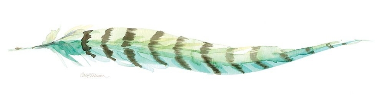 Picture of TAIL FEATHER II