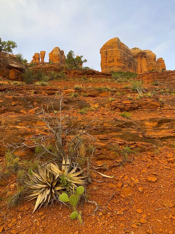 Picture of SEDONA II