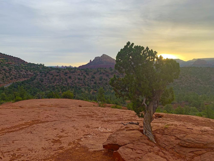 Picture of SEDONA IV