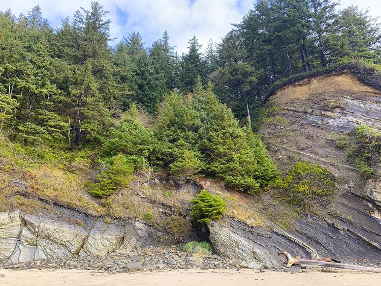 Picture of ERODED COAST V