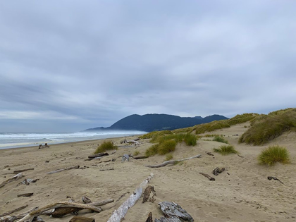 Picture of BEACH SCENE I