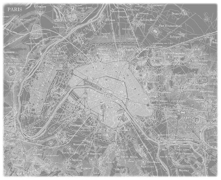 Picture of CUSTOM GREY MAP OF PARIS